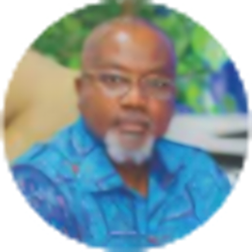 Mr. Patrick Ebo Bonful