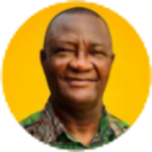 Ing. Charles Kwashie Dzikunu