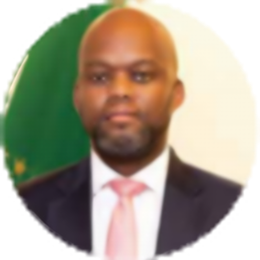 H.E. Wamkele Mene