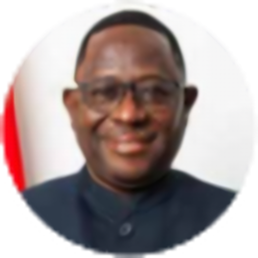 Mr. Wisdom Ahiataku-Togodo